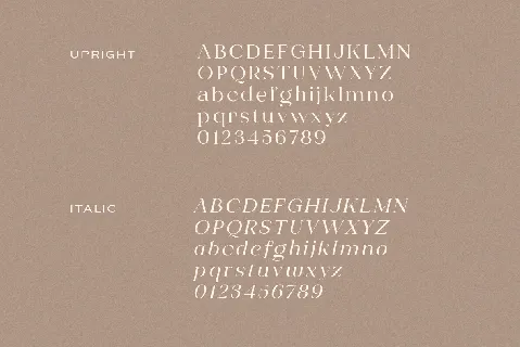 Shavina font