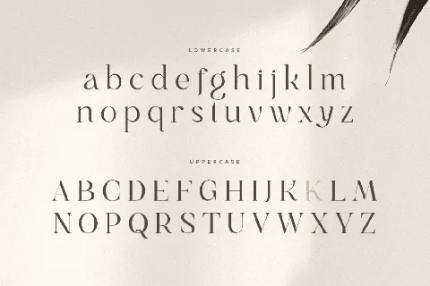 Gray font