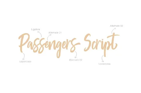 Passengers Script font