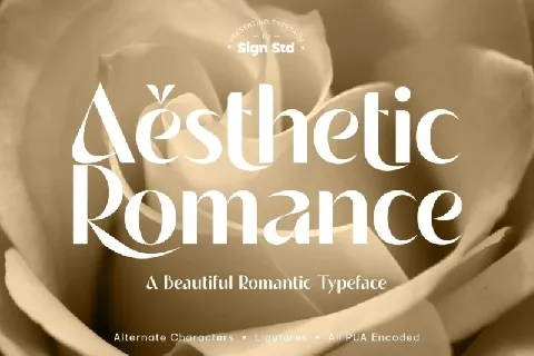 Aesthetic Romance font