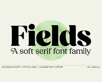 Fields font