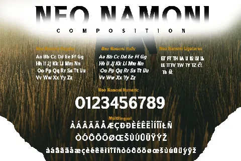 Neo Namoni font