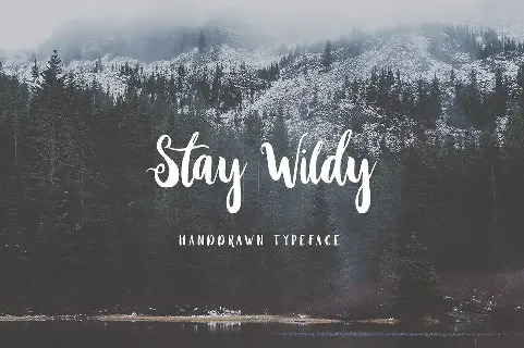 Stay Wildy Script font