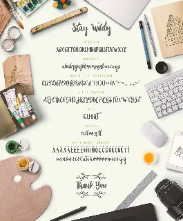 Stay Wildy Script font