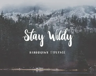 Stay Wildy Script font