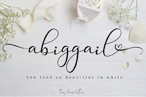 Abiggail font