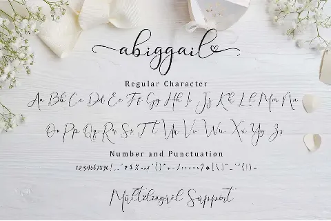 Abiggail font