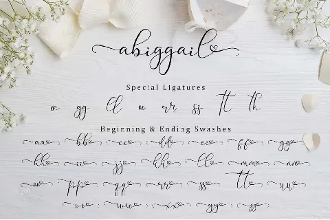 Abiggail font