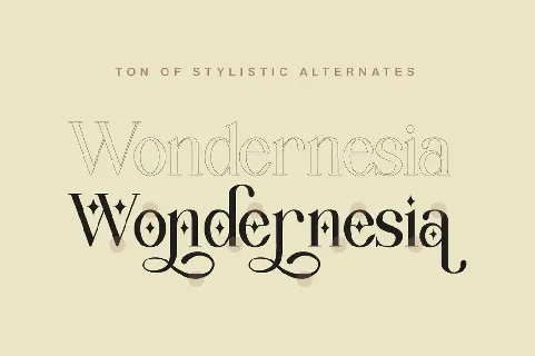 Wondernesia Demo font