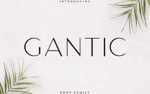 Gantic Sans Serif Family font
