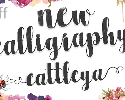 Cattleya Script font