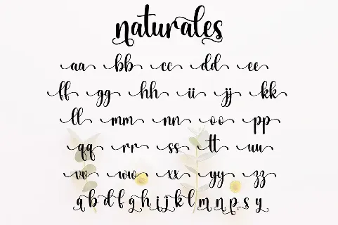 Naturales font