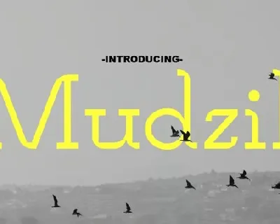 Mudzil Family font