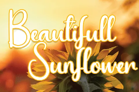 Beautifull Sunflower Script font