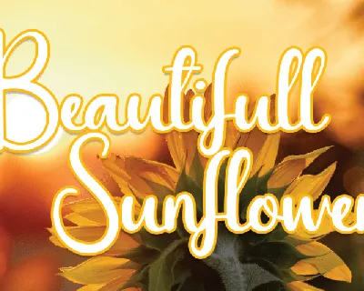 Beautifull Sunflower Script font