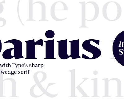 Bw Darius font