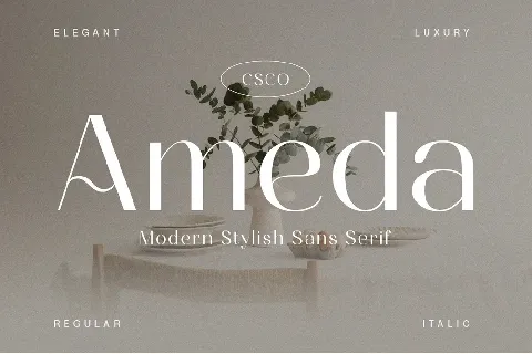 Ameda font