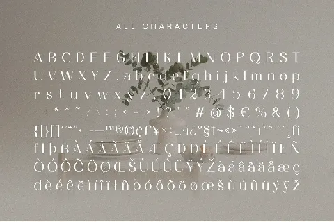 Ameda font