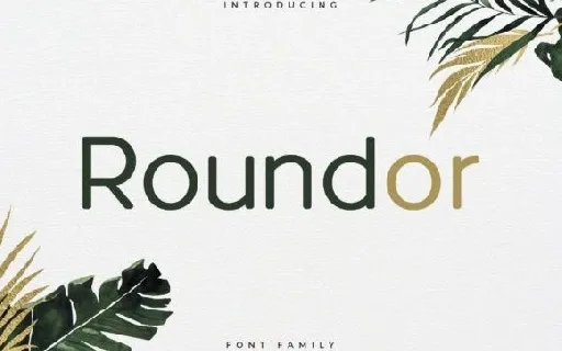 Roundor Sans Serif font