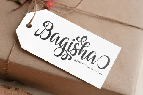 Agisha Script font