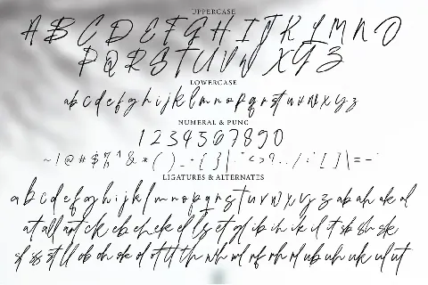 Pelsiwe Signature font