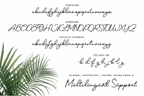 Candelia font