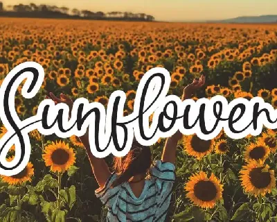 Sunflower Handwritten font