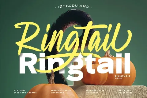 Ringtail font