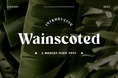 Wainscoted font