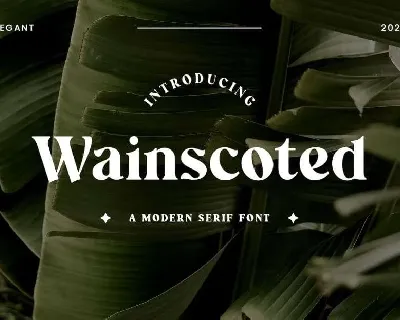 Wainscoted font