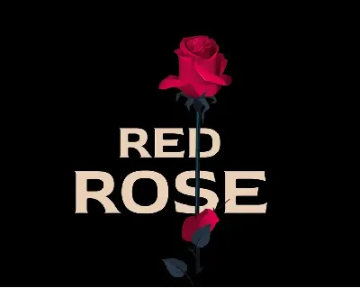 Red Rose Pro Serif font
