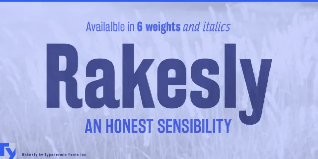 Rakesly Family font