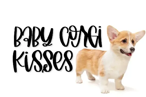 FB-FancyCorgi font