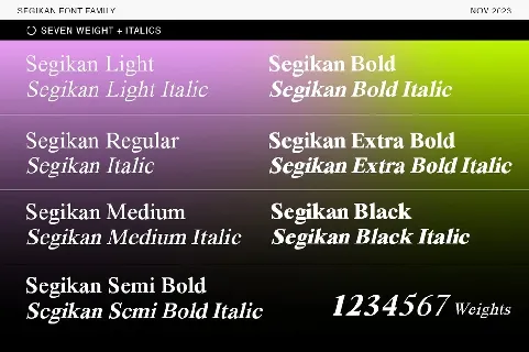 Segikan font