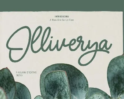 Olliverya font