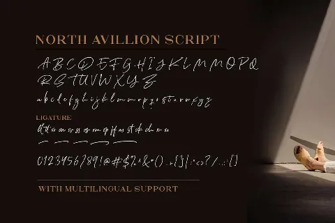 North Avellion Script Serif Duo font