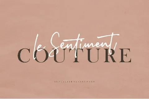 Stylish Classy Script font