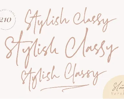 Stylish Classy Script font