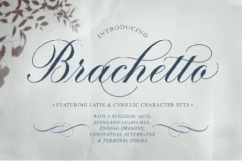 Brachetto font