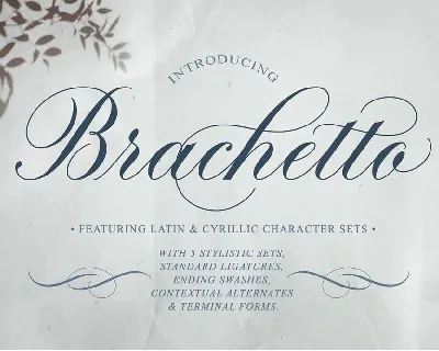 Brachetto font