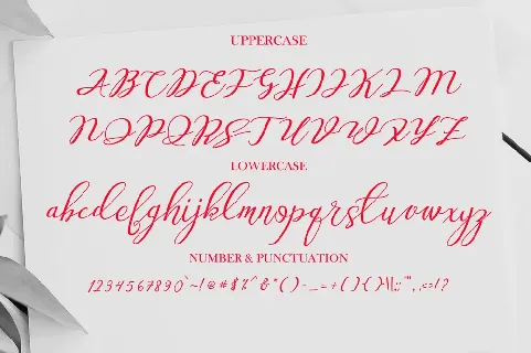 Ameston font