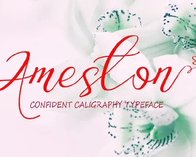 Ameston font