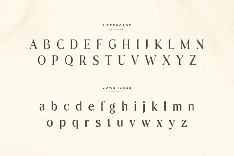 SS Journey font