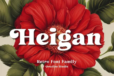 Heigan font