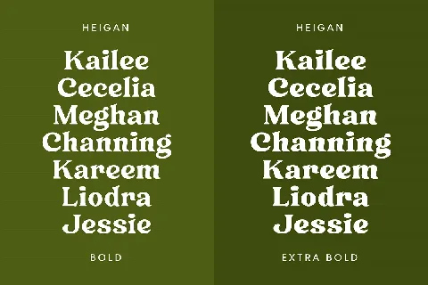 Heigan font