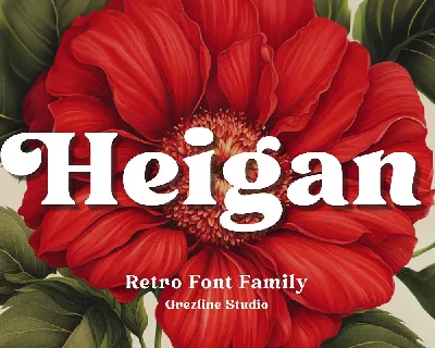 Heigan font