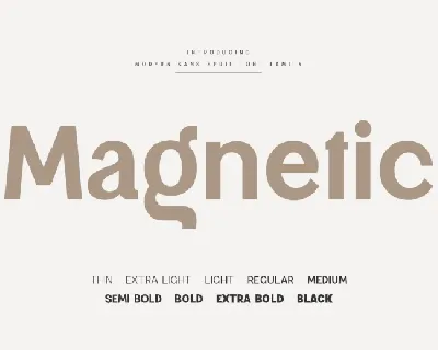 Magnetic font