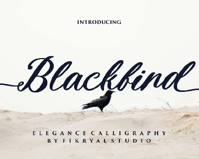 Blackbird font