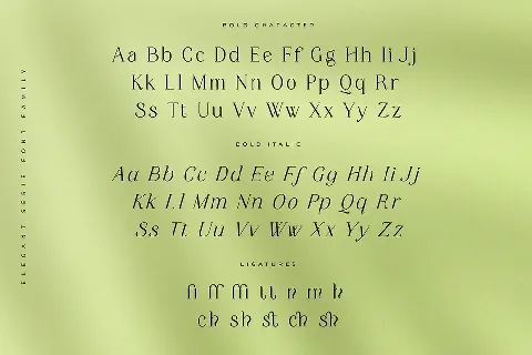 Mayfest font