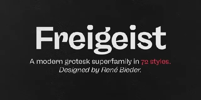 Freigeist Family font